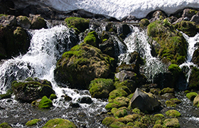 北海道羊蹄山のふきだし湧水